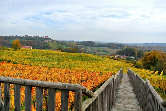 Foto: Edgar Strasser