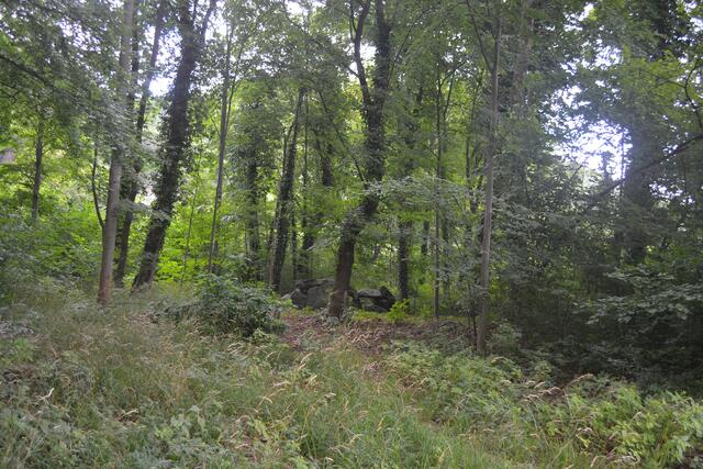 Blick von der Straße zu den Dolmen