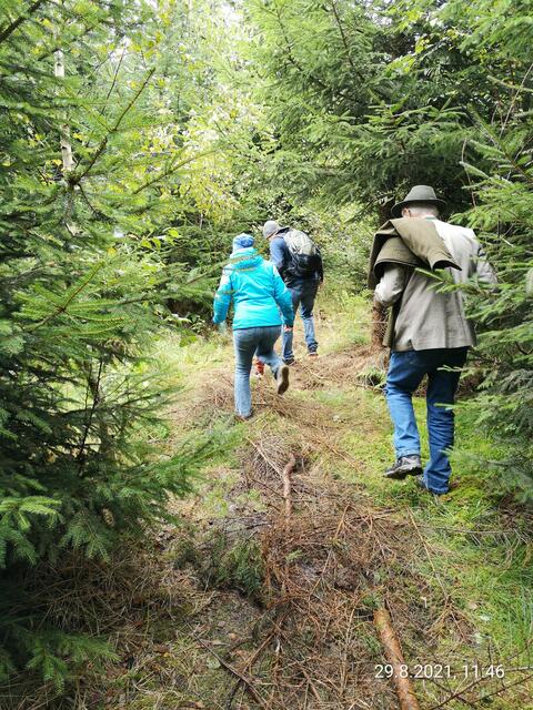 Für den Wanderweg empfielt sich festes Schuhwerk, besonders nach Regenfällen. | Foto: Daniel Schmidt
