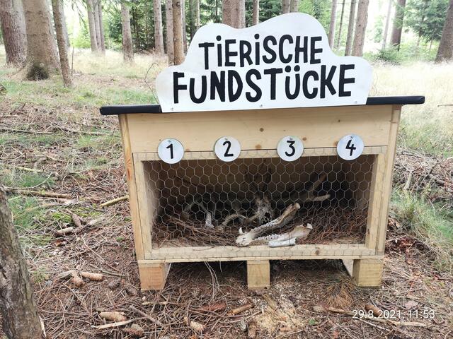 Foto: Daniel Schmidt