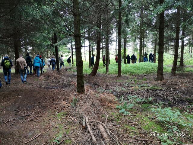 Die Gruppe der ersten Besucher am Weg durch den Wald. | Foto: Daniel Schmidt