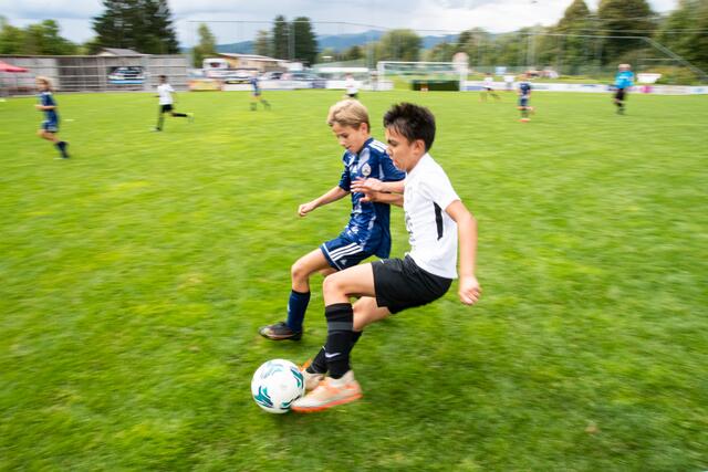 Foto: Michael Krobath/AustriaNews
