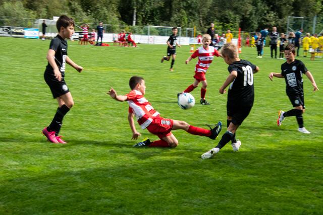 Foto: Michael Krobath/AustriaNews
