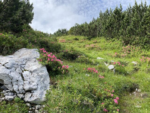 Bergidylle pur entlang des Weges hinauf zur Coburger Hütte. | Foto: Reichel