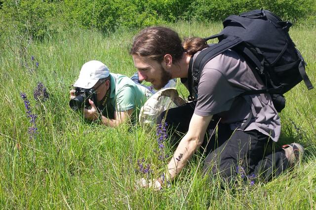 Wer im September seine Naturbeobachtungen mit dem Naturschutzbund teilt, kann einen Wanderrucksack gewinnen. | Foto: Christine Pühringer