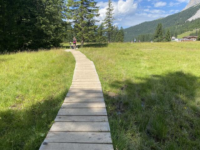 Dieser Steg kurz vor der Bergstation der Ehrwalder Almbahn führt uns trocken über eine sumpfige Wiese zu unserem Ziel.