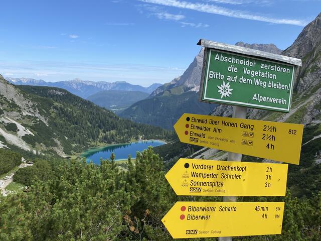 Wer möchte, kann hier oben viele Wege einschlagen. | Foto: Reichel