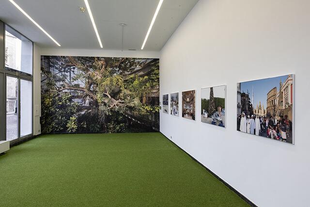 Garden of Delight, De Garage - Space for Contemporary Art, Mechelen (BE), 2018 | Foto: Nick Hannes