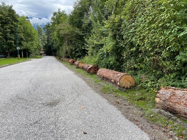 In Rum kommt es im Bereich des Karwendelparkplatzes immer wieder zu Problemen mit Falschparkern. Die Gemeinde hat am Straßenrand Baumstämme platziert, um dagegen vorzugehen. | Foto: Privat