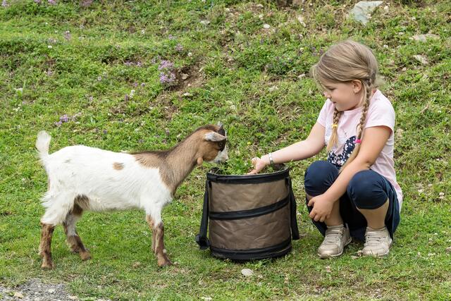 Im Sommer gibt es für die Tiere auch frisches Grünfutter. | Foto: Wildpark Assling