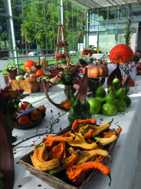 In der Versuchsstation für Spezialkulturen in Wies ist ab 19. September die Ausstellung "Kunterbunte Kürbisvielfalt" zu den Betriebszeiten geöffnet. | Foto: Ölspur