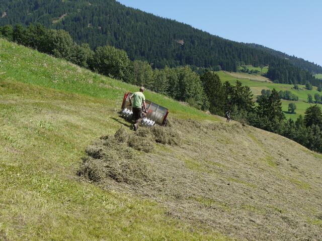 70.000 m² Grünland werden für die Heuernte bewirtschaftet. | Foto: Wildpark Assling