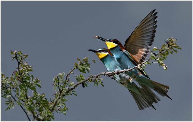 Foto: Fotogruppe Wimpassing