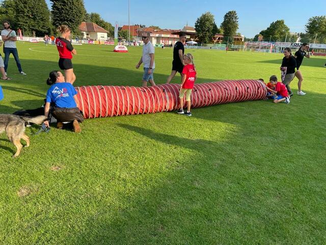Die Hunde zeigen was sie drauf haben | Foto: Kopper