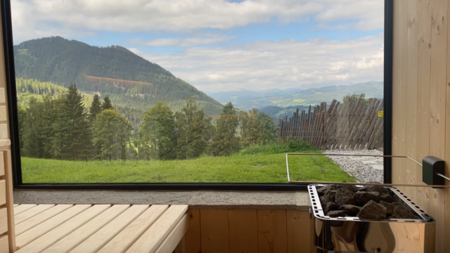 Die Sauna im Erdgeschoss vom Waldchalet – ebenfalls mit Blick nach draußen. | Foto: Koidl