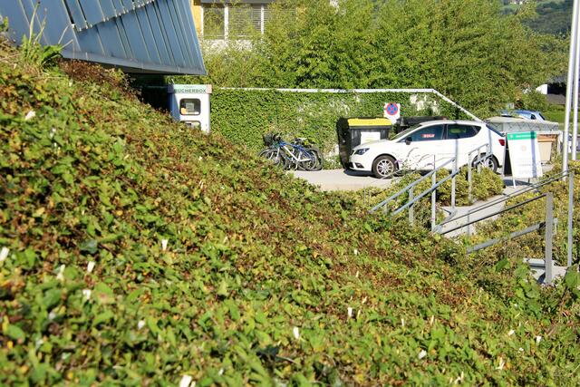 Teststraße und Impfung im Gemeindezentrum Rif  | Foto: HKroBild