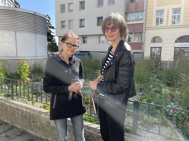 Anrainerin Manuela Winklehner und Brigitte Schostal von der Initiative der Stadttauben bringen verletzte Tauben in Sicherheit.
