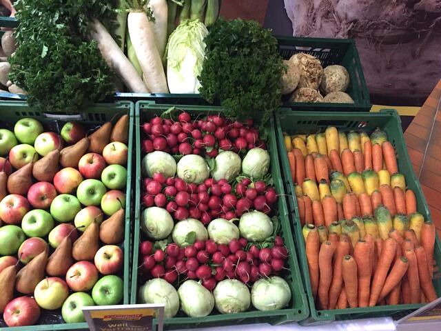 Obst und Pflanzen in vielen Facetten Thema von Vorträgen. | Foto: Kogler