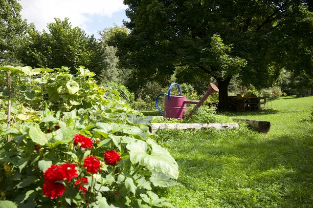 Im Gemeinschaftsgarten an der Muldenstraße wächst und gedeiht neben Obst, Gemüse und Kräutern auch das Miteinander. | Foto: Baumgartner/BRS