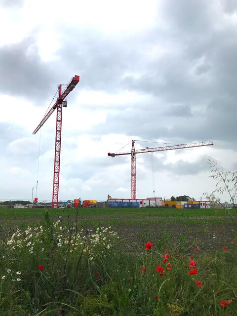 Auf 19 Hektar erstreckt sich das neue Stadtviertel. | Foto: GB*