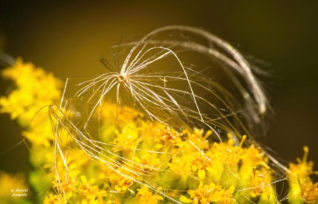 .....oder liegen geblieben sein......