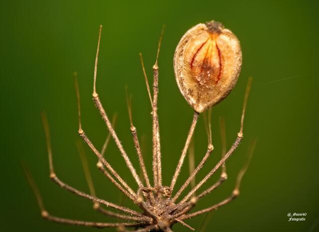 ..........es kommt immer drauf an,was man an einen Motiv sieht......