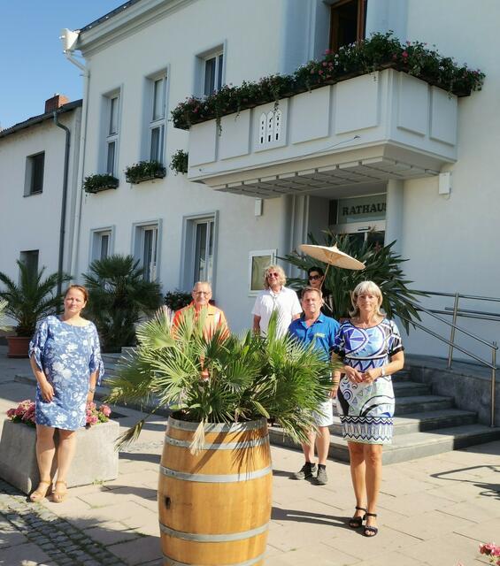 Palmen schmücken den Hauptplatz von Neusiedl.