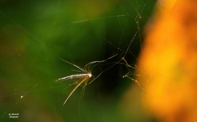 ....oder es muss nur was hängen bleiben....