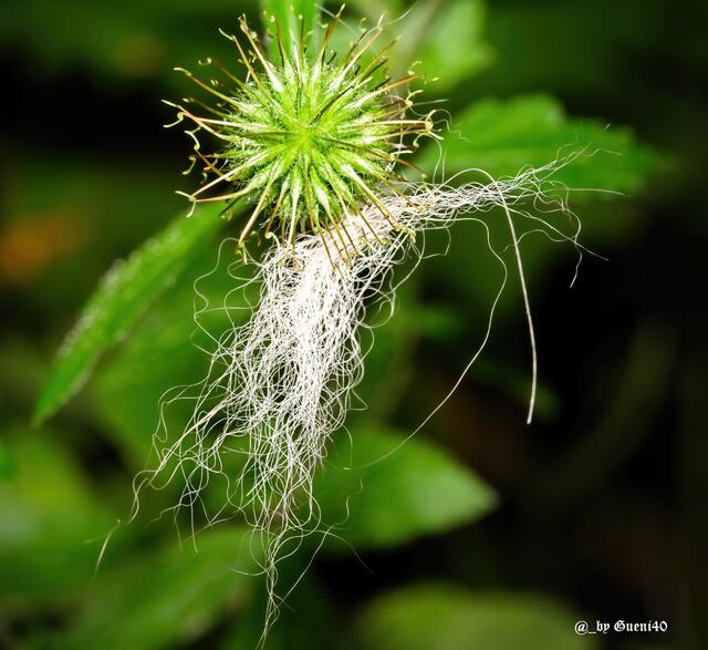 ......oder macht es die Komposition aus.......