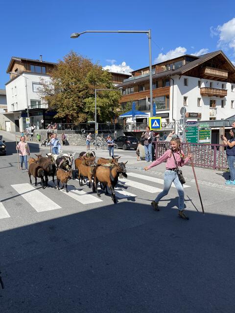 Auch einige Ziegen wurden von der Alm geholt. | Foto: privat