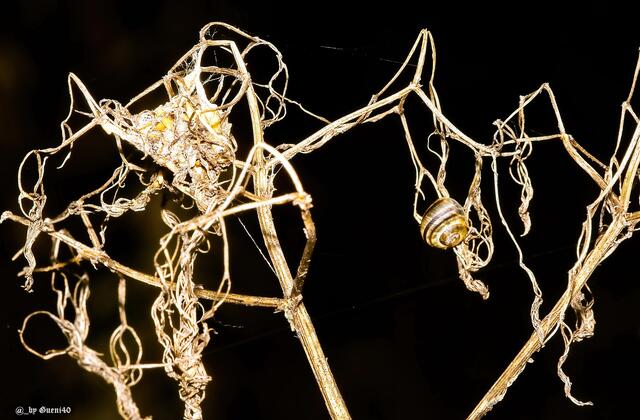 ........es nagt auch manchmal die Zeit dran.....