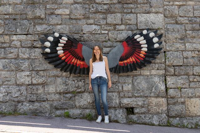 Und plötzlich wachsen einem Flügel, in diesem Fall die eines Mauerläufers. | Foto: Thomas Wirnsperger