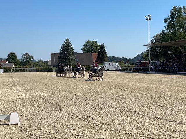 Die Kutschen machten den Auftakt zur Vorführung der Fest der Lipizzaner in der Arena. | Foto: Almer
