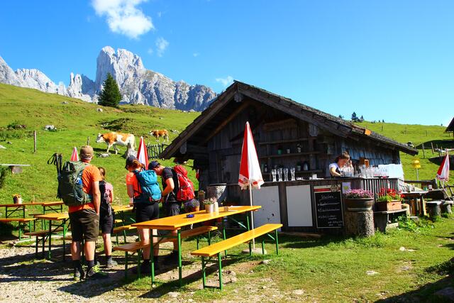 Auf der Stuhlalm kommen sich die Natur und die Wanderer sehr nahe. | Foto: Maria Tiefenbacher-Schöndorfer