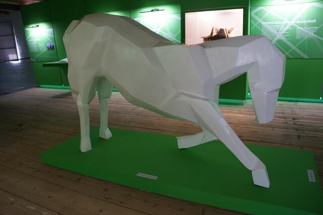 Die Skulptur eines Lipizzaners im Mittelpunkt des neuen Museums | Foto: Almer