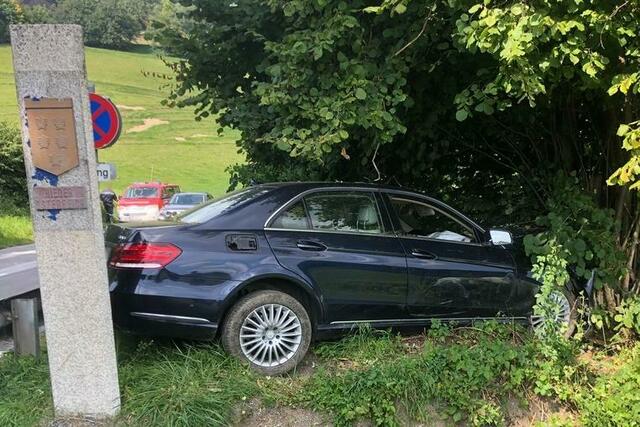 Das Unfallauto blieb im Straßengraben bzw. im Gehölz hängen. | Foto: FF Ungerbach