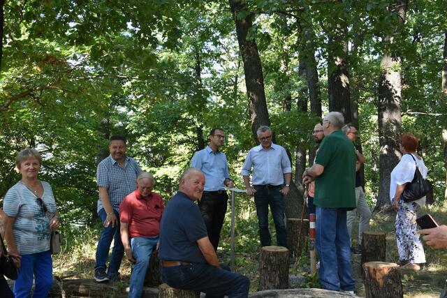 Das Ende des "Gipfel-Weges", der 650 Meter hohe Sieggraber Kogel. 