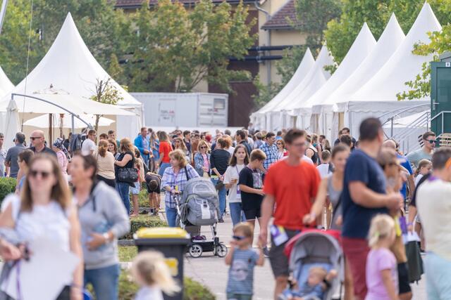 Großes Familienfest der Firma Welser Profile GmbH in Gresten | Foto: Welser Profile GmbH