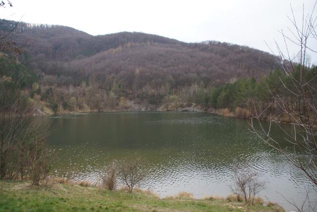 Der Steinbruchsee ist ein wahres Naturjuwel. Es könnte sein, dass er bald nicht mehr nur das Auge erfreut. | Foto: Alois Fischer