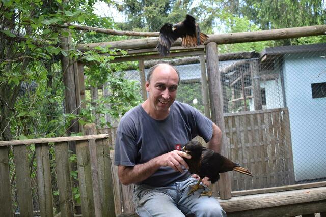 Obwohl die Vorsaison im Mai für den Vogelpark Turnersee schleppend begann, freut sich Emanuel Zupanc über einen guten Sommer. | Foto: RMK