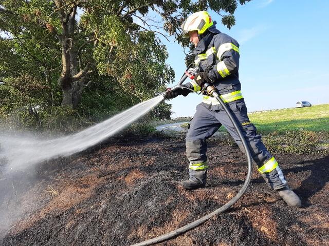 Rund eine Stunde dauerten die Löscharbeiten an.