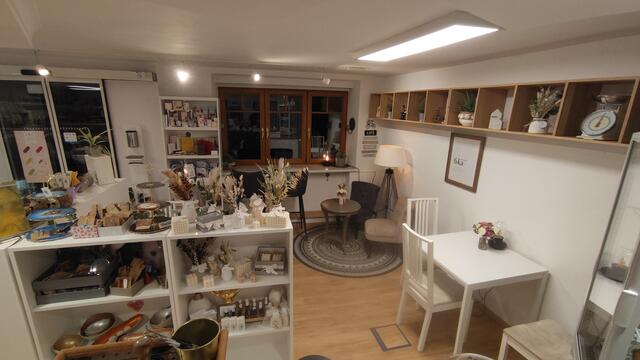 Foto: Petrovic/Reh-Gal