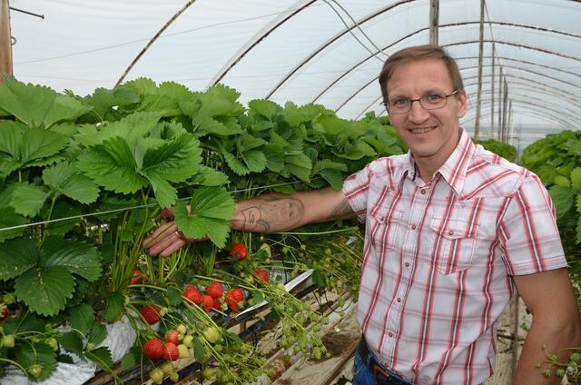 Auch bei Markus Gutmann und seiner Familie wird auf Nachhaltigkeit bei den unterschiedlichen Obstsorten gesetzt.