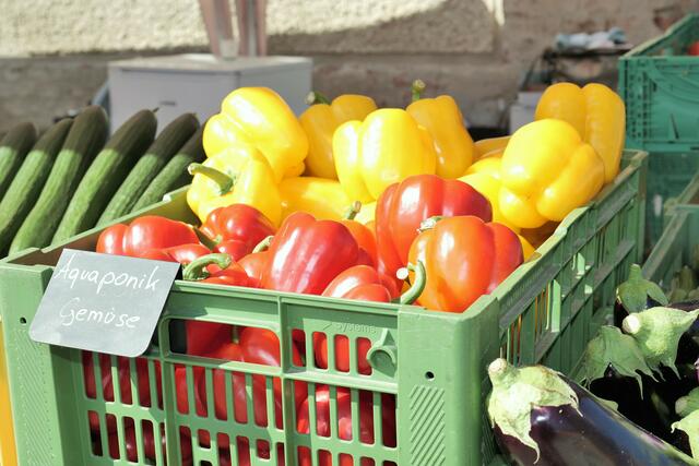 Foto: Markus Spitzauer