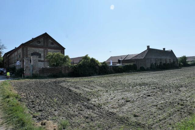 Foto: Markus Spitzauer