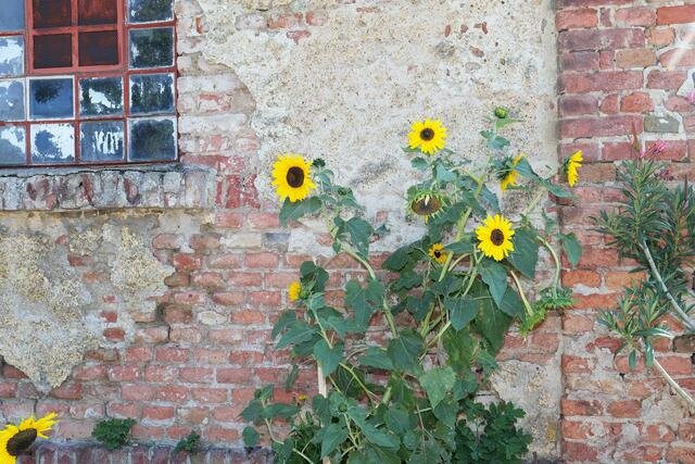 Foto: Markus Spitzauer