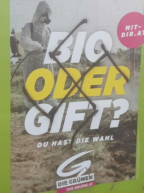 Foto: Andreas Kaindlstorfer