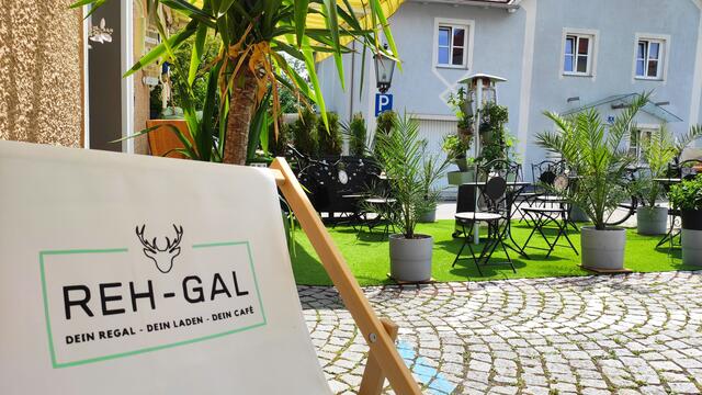 Foto: Petrovic/Reh-Gal