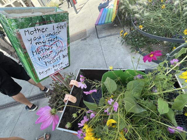 Blumen als Symbol zum Erhalt des Donaufelds. | Foto: Brandl