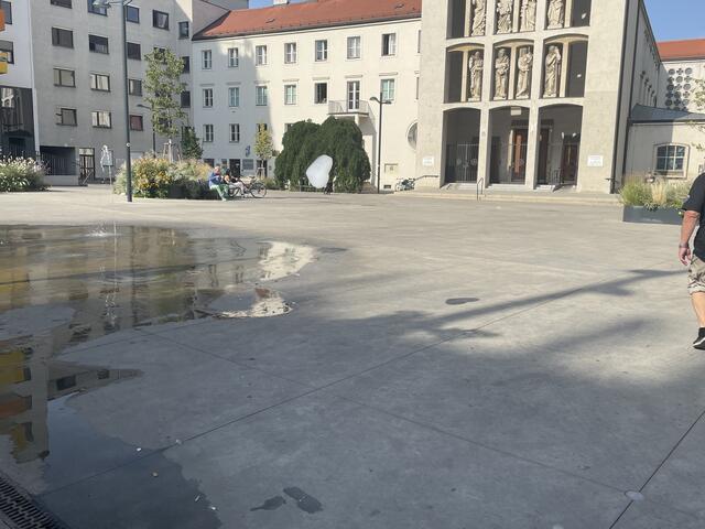 Am Pius-Parsch-Platz schlugen die Herzen für das Donaufeld. | Foto: Brandl